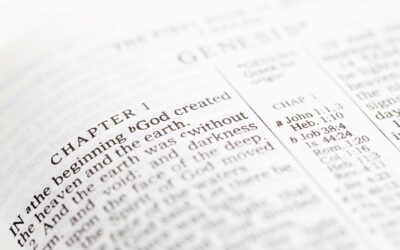 What is the Bible For?